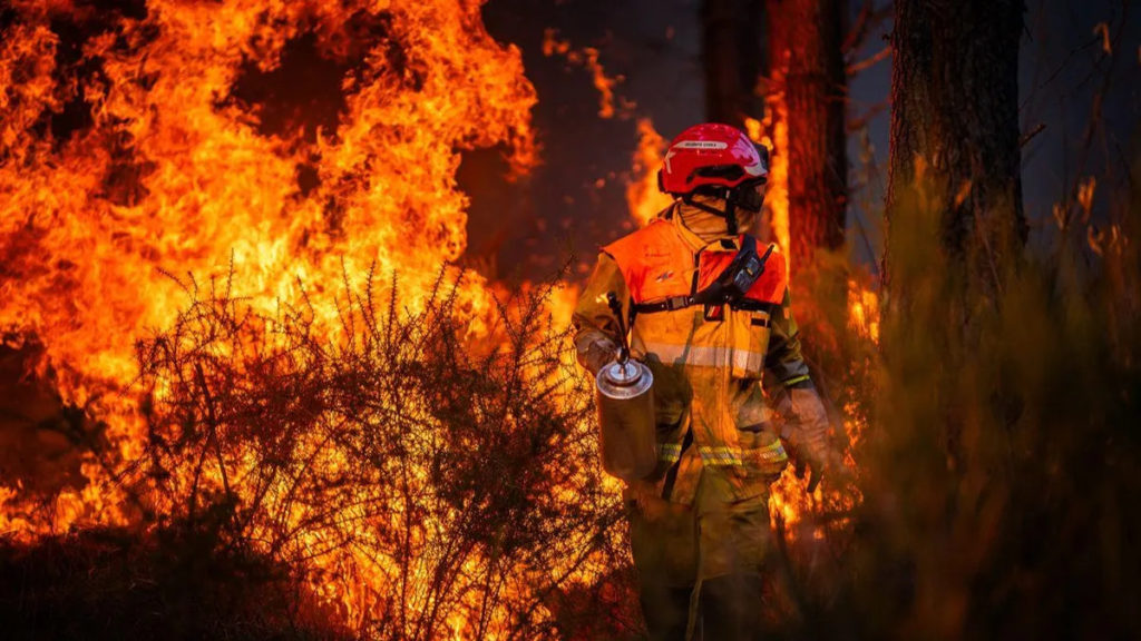 França intensifica combate aos incêndios após mais de 400 detenções e área ardida sem precedentes